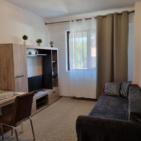 Ultracentral & Cozy, Palas Apt Iasi Bagian luar foto