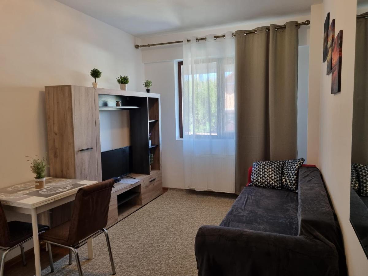 Ultracentral & Cozy, Palas Apt Iasi Bagian luar foto